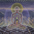 Alex Grey Website